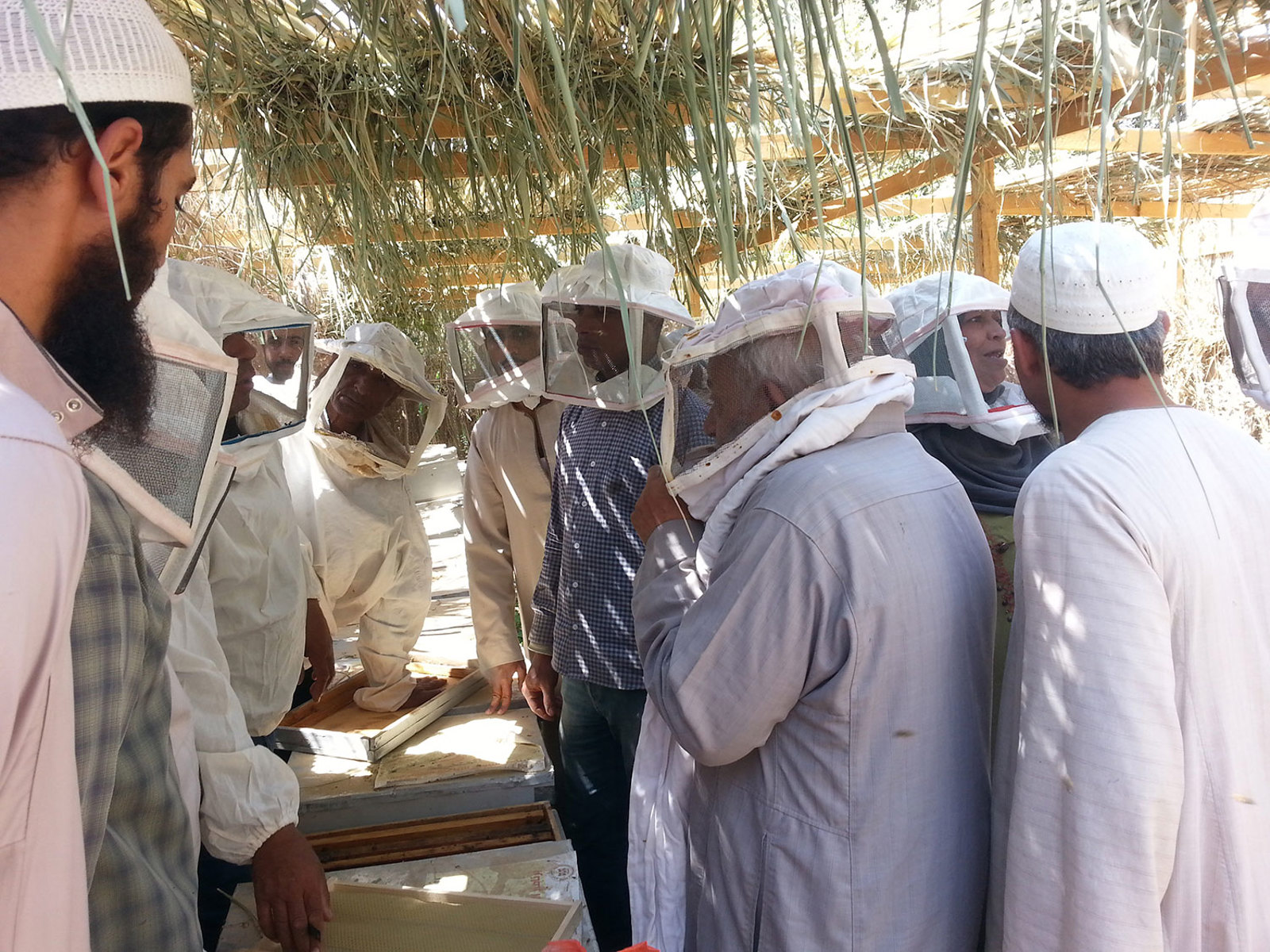 Bee Keeping Honey Production