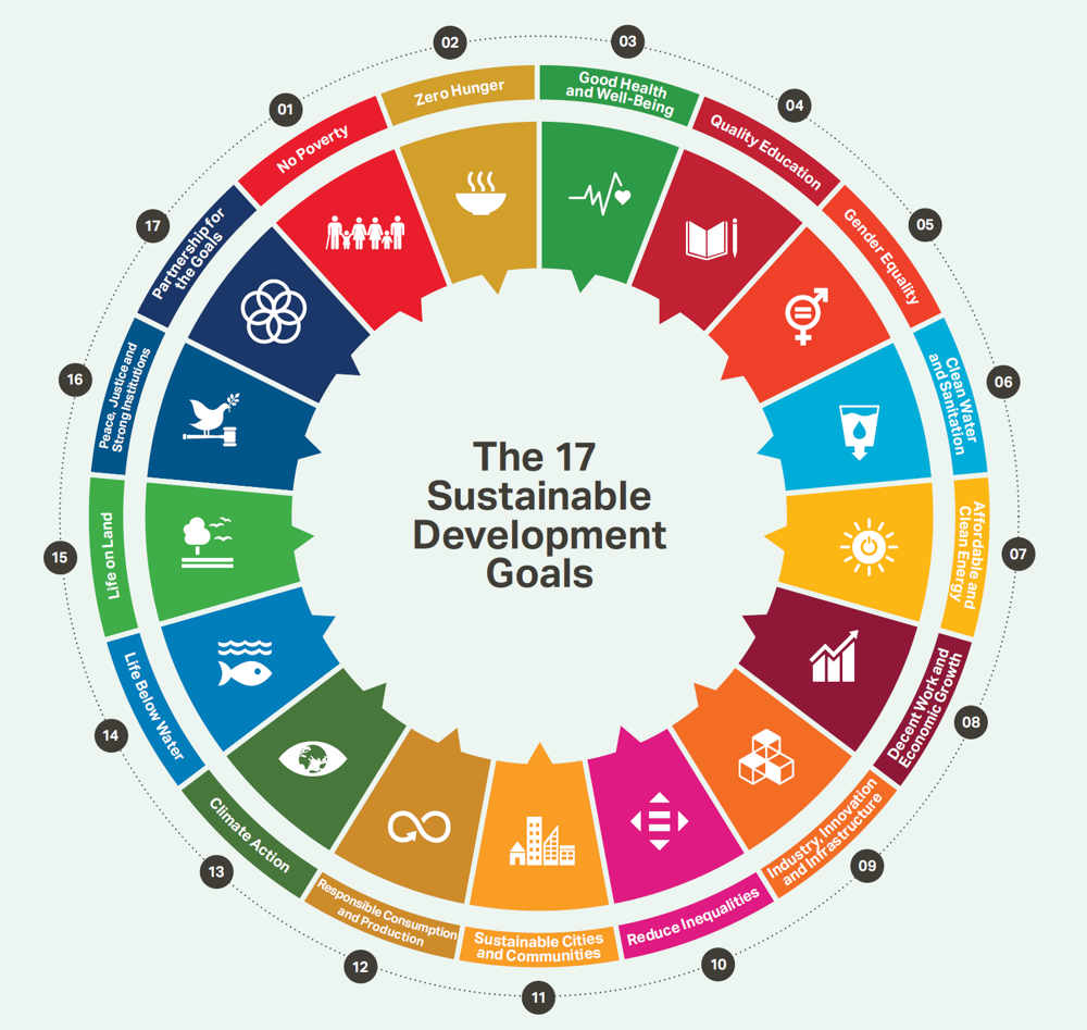 SDG Wheel